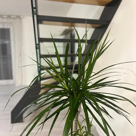 アパート Ferienwohnung, Og